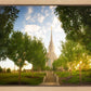 Oquirrh Mountain Golden Glow