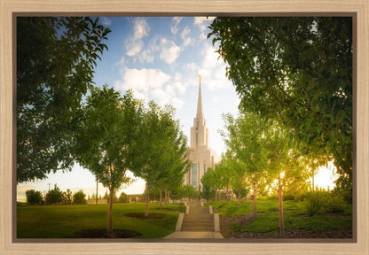 Oquirrh Mountain Golden Glow