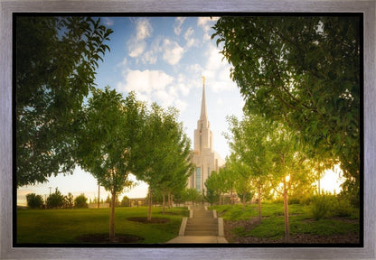 Oquirrh Mountain Golden Glow