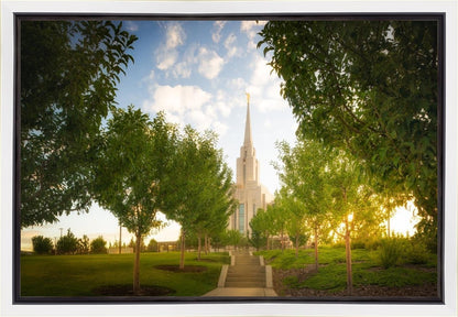 Oquirrh Mountain Golden Glow