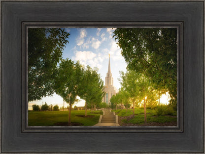 Oquirrh Mountain Golden Glow