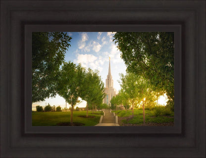 Oquirrh Mountain Golden Glow