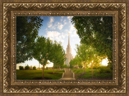 Oquirrh Mountain Golden Glow