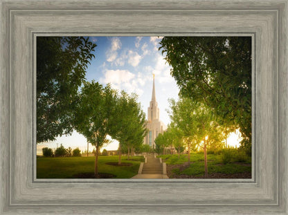 Oquirrh Mountain Golden Glow