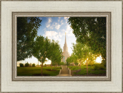 Oquirrh Mountain Golden Glow