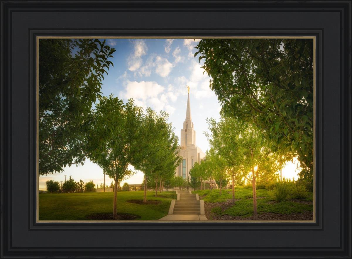 Oquirrh Mountain Golden Glow