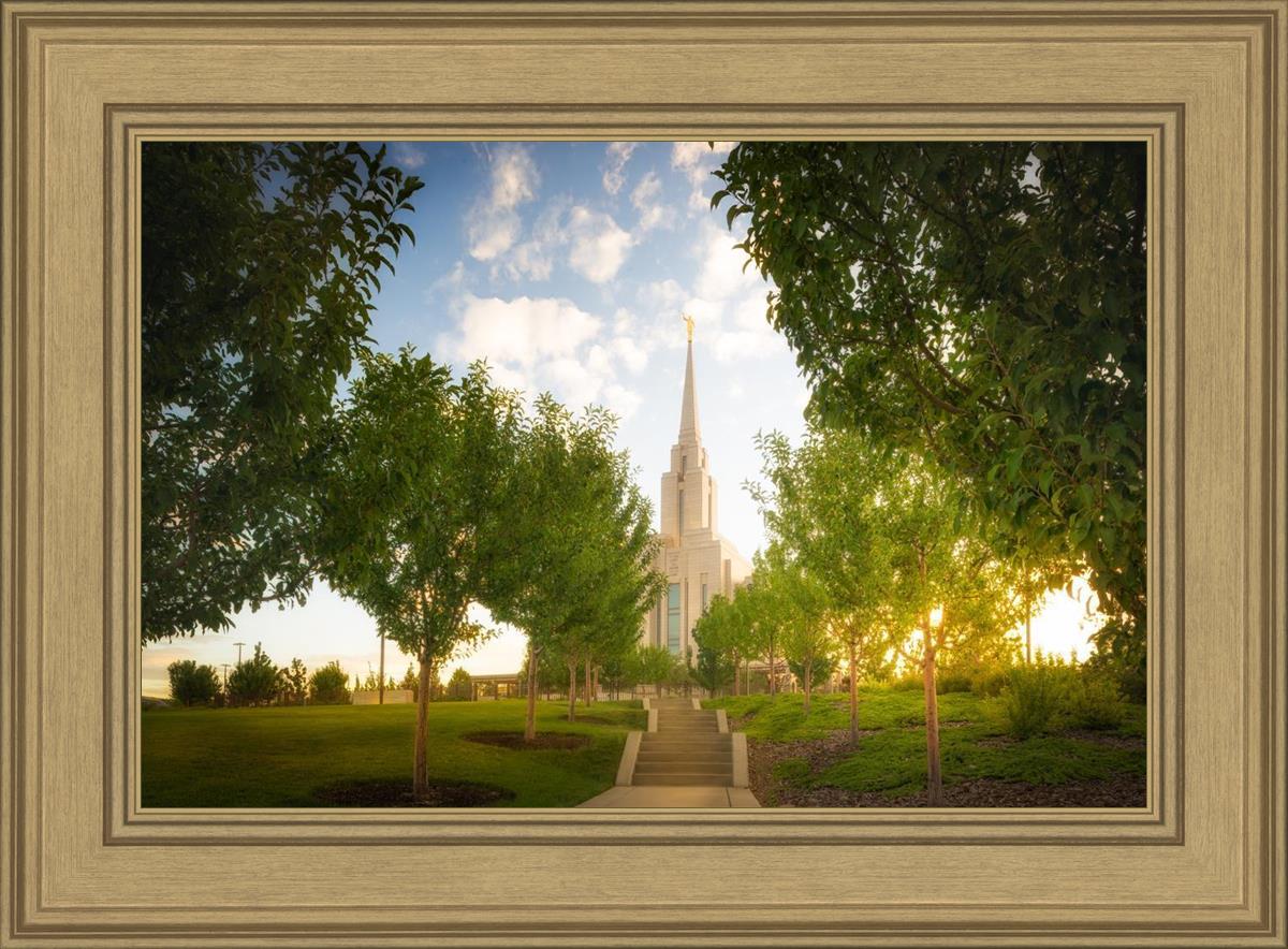 Oquirrh Mountain Golden Glow