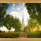 Oquirrh Mountain Golden Glow