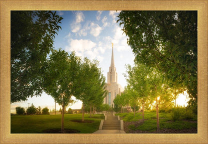 Oquirrh Mountain Golden Glow