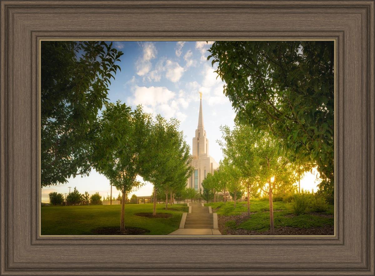 Oquirrh Mountain Golden Glow