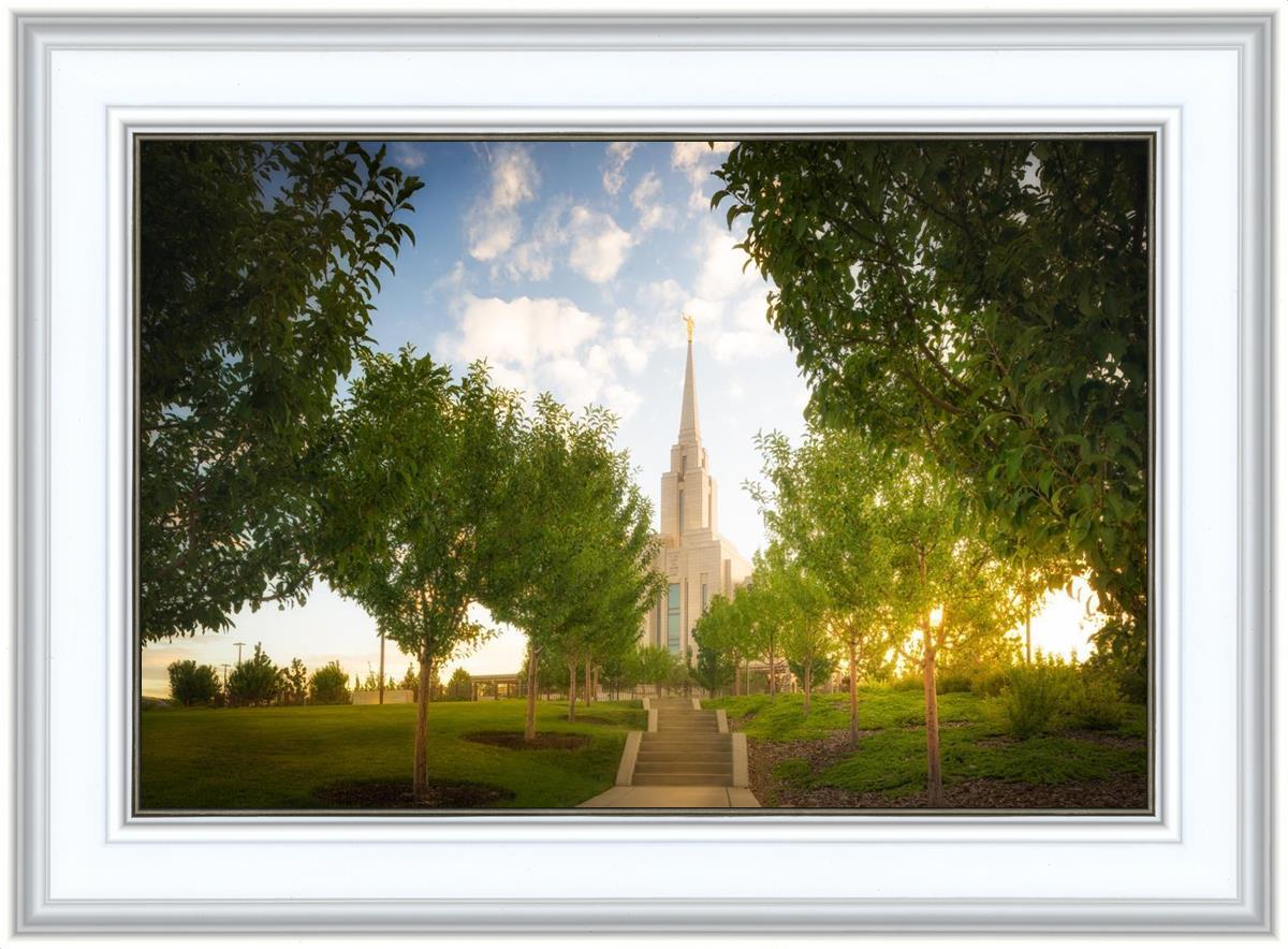 Oquirrh Mountain Golden Glow