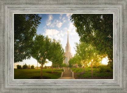 Oquirrh Mountain Golden Glow