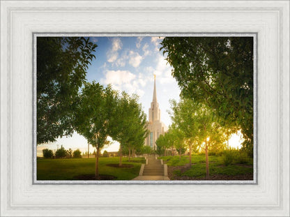 Oquirrh Mountain Golden Glow