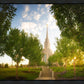 Oquirrh Mountain Golden Glow