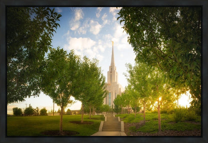 Oquirrh Mountain Golden Glow