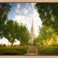 Oquirrh Mountain Golden Glow