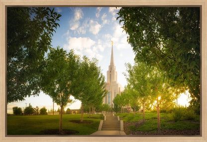 Oquirrh Mountain Golden Glow
