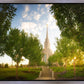Oquirrh Mountain Golden Glow