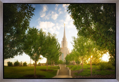 Oquirrh Mountain Golden Glow