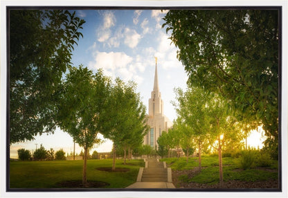 Oquirrh Mountain Golden Glow