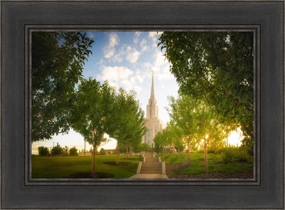 Oquirrh Mountain Golden Glow