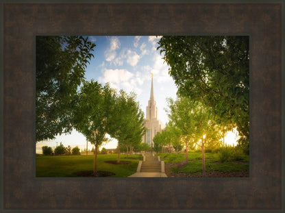 Oquirrh Mountain Golden Glow