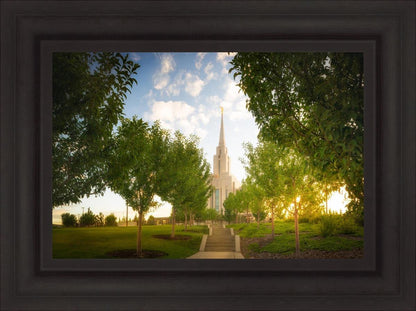 Oquirrh Mountain Golden Glow