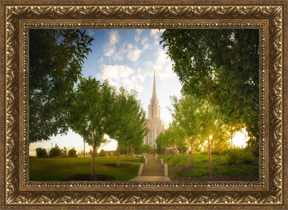 Oquirrh Mountain Golden Glow