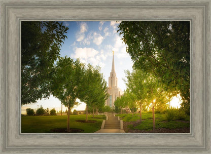 Oquirrh Mountain Golden Glow