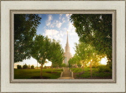 Oquirrh Mountain Golden Glow