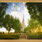 Oquirrh Mountain Golden Glow