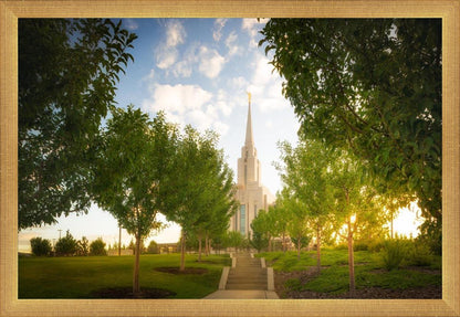Oquirrh Mountain Golden Glow