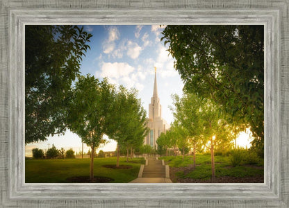 Oquirrh Mountain Golden Glow