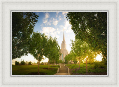 Oquirrh Mountain Golden Glow