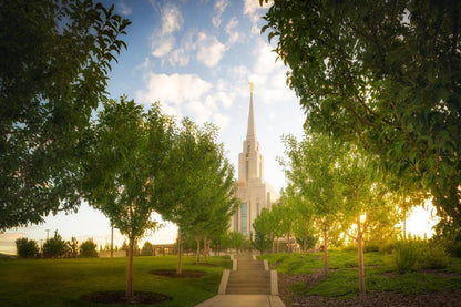 Oquirrh Mountain Golden Glow