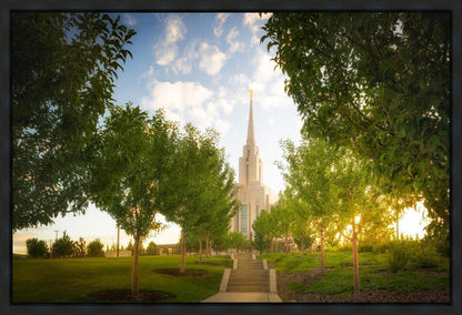 Oquirrh Mountain Golden Glow