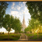Oquirrh Mountain Golden Glow