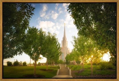 Oquirrh Mountain Golden Glow