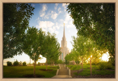 Oquirrh Mountain Golden Glow