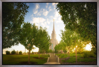 Oquirrh Mountain Golden Glow