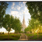 Oquirrh Mountain Golden Glow