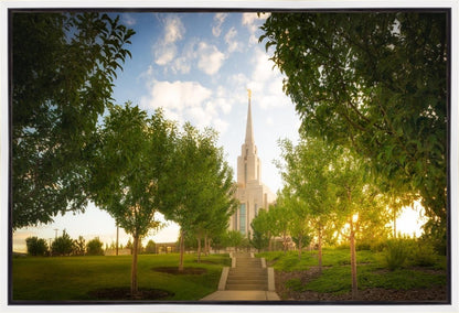 Oquirrh Mountain Golden Glow