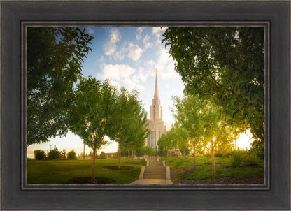 Oquirrh Mountain Golden Glow