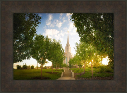 Oquirrh Mountain Golden Glow