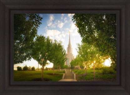 Oquirrh Mountain Golden Glow