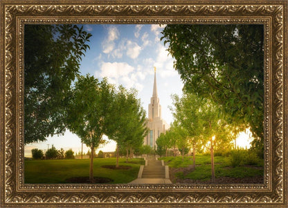 Oquirrh Mountain Golden Glow