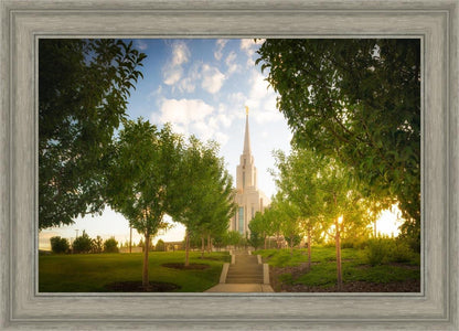 Oquirrh Mountain Golden Glow