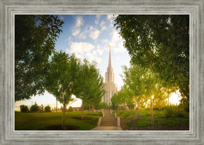 Oquirrh Mountain Golden Glow