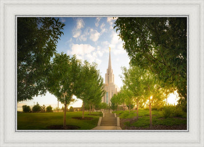 Oquirrh Mountain Golden Glow