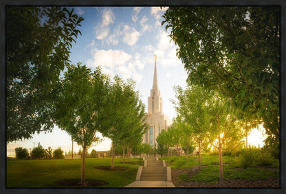 Oquirrh Mountain Golden Glow